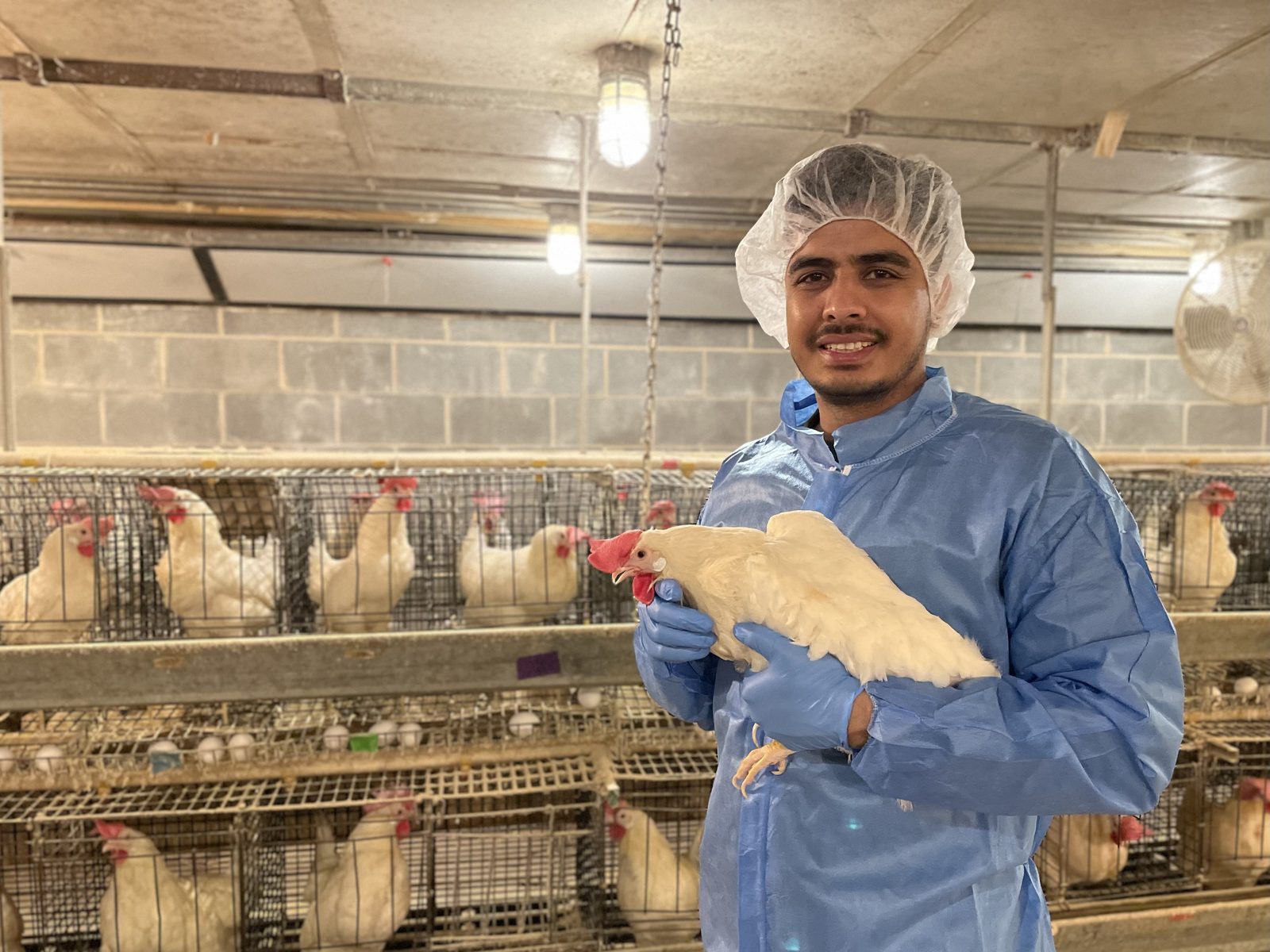Deependra Paneru holding a laying hen in a poultry research facility at the University of Georgia