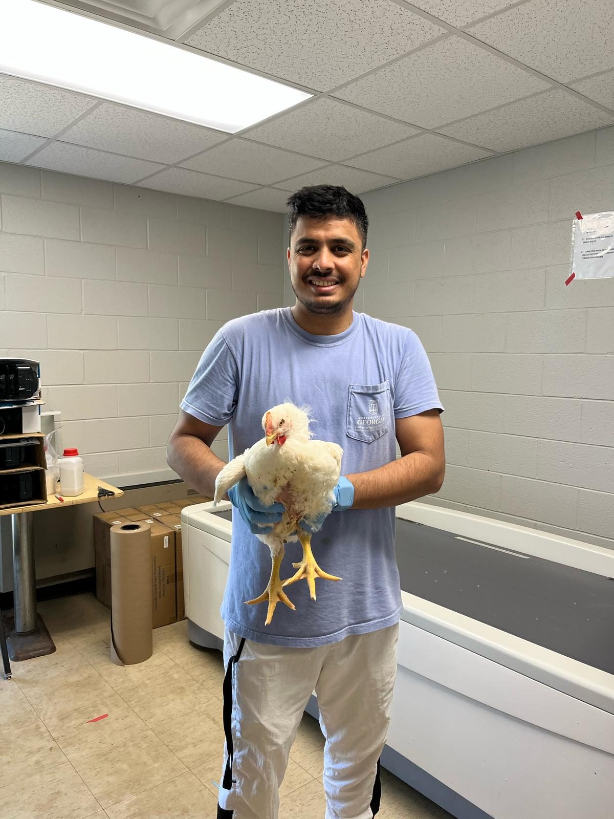 Deependra Paneru holding a broiler chicken in the lab
